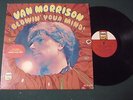 VAN MORRISON - 