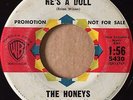 Teen Girl Group 45 THE HONEYS He's a Doll on WARNER brian wilson produced   HEAR