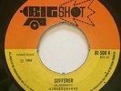 The Kingstonians - Sufferer (Big Shot) Boss Reggae gem VG+ ?