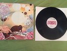 As Tall As Lions S/T First Press RARE OOP dear hunter minus the bear brand new
