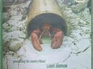 SCARCE BLUE HORIZON LP Larry Johnson Presenting The Country Blues (1969)