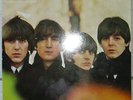 LP The Beatles  FOR SALE  -EMI  Parlophone HOLLAND  064-746438 1