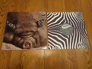 KIN PING MEH: No. 2 1972 Original LP Record Album German Pressing by Zebra