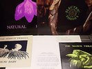 The March Violets vinyl Electric Shades, Grooving Green, Crow Baby