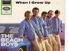 Sg.   -   THE  BEACH BOYS   -   LITTLE HONDA       -   CAR COVER