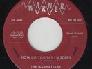 Doo-Wop 45 - Manhattans - How Do You Say I'm Sorry - Warner - mp3