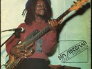 Bim Shierman - Love Forever UK orig Tribesman LP ??