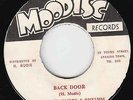 Lloyd Charmers - Back Door - SKIN MONSTER