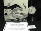 AMYCANBE Mountain Whales LP Vinyl Record RARE FEEDBANDS INDIE PSYCH