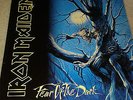Iron Maiden Fear of the Dark Vinyl (Slayer Metallica)