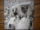Björk - Vespertine  2 X LP  Vinyl  2001 Polydor