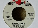RARE Garage 45-The Seven of Us-Jamboree-Red Bird-PROMO-NRBQ-Nice