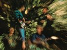 Bayou Country - Creedence Clearwater Revival (2014, Vinyl NEW)