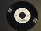 Palisades Amusement Park -Theme Music  PROMO 1969 Radio Spots MONO