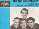 GERRY & PACEMAKERS Im The One RARE 1964 Holland + PS
