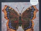 THE HOUSE OF LOVE SELF TITLED LP UK ORIGINAL HOUSE OF LOVE