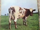 Pink Floyd 1970 Vinyl LP Atom Heart Mother  RARE 1st pressing A1/B1 NRMINT/VG