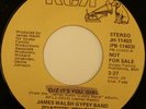JAMES WALSH GYPSY BAND cuz its you girl 45 RCA --modern northern soul-- LISTEN