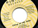 1977 DEEP ROOTS REGGAE - PALEMINA - LIVING ON SKY JUICE - KILLA - PIN UP 7