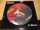 Nirvana 3 Picture Disc Vinyl Lithium, In Bloom, Come As You Are Kurt Cobain L K
