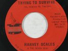Funk 45 HARVEY SCALES Trying To Survive on Magic Touch VG++
