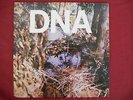 DNA  A TASTE OF DNA  ARTO LINDSAY IKUE MORI EP NOISE NO WAVE 1981 EX+