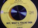 Rare Garage Rock DENISE AND CO....Boy, what'll you do then...VG+ Original 45 RPM