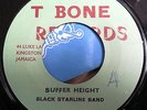 RARE ROOTS REGGAE 7