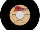 70s Funk Soul BELL / MAXWELL Disco People CLEVELAND RECORDING UNRELEASED ACETATE