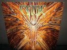 Cynic 