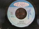DEVON RUSSEL - CHANCES  / PEOPLE CRY -  NM - ROOTS REGGAE