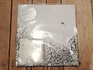 Wilco Sky Blue Sky. lp vinyl record 12