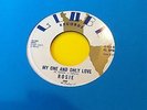 60's Teen Rosie And The Originals-My One And Only Love/Kinda Makes You Wonder EX