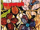 BEACH BOYS wild honey U.S. CAPITOL LP ST-2859_orig 1967