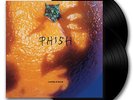 A PICTURE OF NECTAR PHISH LP RECORD LE 7500 JEMP RANDALLS FOR POLLOCK POSTER FAN