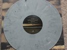 Captain, We're Sinking The Future Is Cancelled LP Gray /200 first press