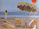 NEIL YOUNG On The Beach NEAR MINT SHRINK ORIGINAL 1974 LP Reprise Records 2180