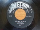Wayne McGinnis - Rock, Roll And Rhythm 1956 USA 45 METEOR
