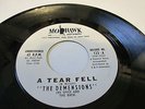 Demensions Miohawk 123 A tear fell