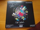Meteorites Vinyl Double LP Signed Echo and the Bunnymen Signed by Ian and Will