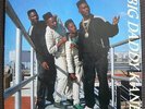 Original RAP 45 7” Big Daddy Kane I'LL TAKE YOU THERE 1988 b/w WRATH OF KANE BDK