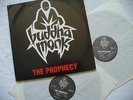 BUDDHA MONK 