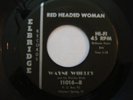 Wayne Worley Rockabilly on Elbridge 