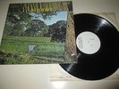 DAYLIGHT - SAME - RCA UK 1971  TEST PRESSING