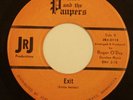 PRINCE & THE PAUPERS exit 45 JRJ --- rare MN garage rock punker --- LISTEN