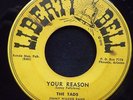 The Tads - Your Reason / Pink Panther - Liberty Bell 9010 VG+