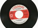 The Monkees I'm A Believer 1969 Colgems circle logo
