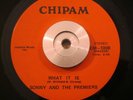 Soul/Funk 45 Sonny And the Premiers - What It Is/You Send Me CHIPAM NM Original
