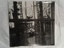 Paul McCartney - Chaos And Creation In The Backyard LP