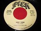 VG++ RARE PRIVATE FOLK ROCK 45 MARC NUTTER - NEW YORK / LEAVES ARE BROWN - SPARK